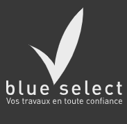 logo blueselect